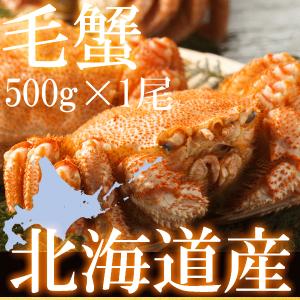 かに カニ 送料無料 蟹 毛蟹 毛がに けがに ケガニ 北海道浜茹で毛がに姿　500g強 ボイル冷凍 毛蟹レシピ付き 訳あり無し
