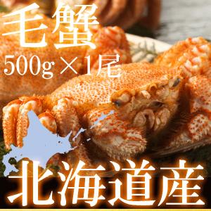 かに カニ 送料無料 蟹 毛蟹 毛がに けがに ケガニ 北海道浜茹で毛がに姿　500g強 ボイル冷凍 毛蟹レシピ付き 訳あり無し｜hakodate-e-kombu