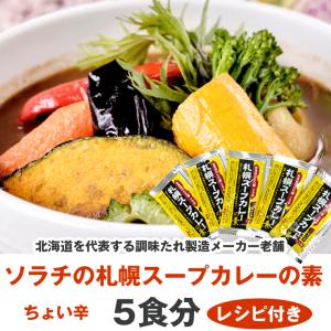 札幌 スープカレー の素 5食分 ( ポスト投函) 北海道 ソラチ(濃縮タイプ)