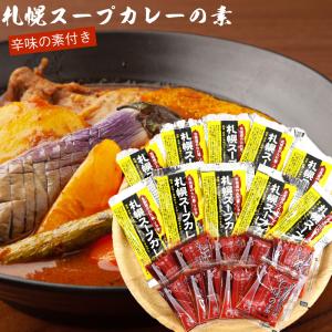 札幌スープカレーの素 スープカレーの素 辛味の素付き 10食分 セット （スープカレーの素5P×2、辛味の素5P×2） スープカレー 北海道 メール便 送料無料