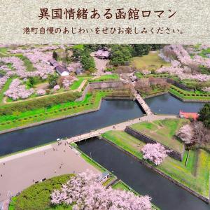 スルメ するめげそ するめ足 300g (A2...の詳細画像4