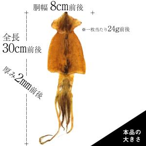 するめ 無添加 函館 デリシャス スルメ 5枚...の詳細画像2