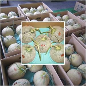北海道夕張産 個選夕張メロン8k箱(4玉〜7玉入り)の詳細画像1