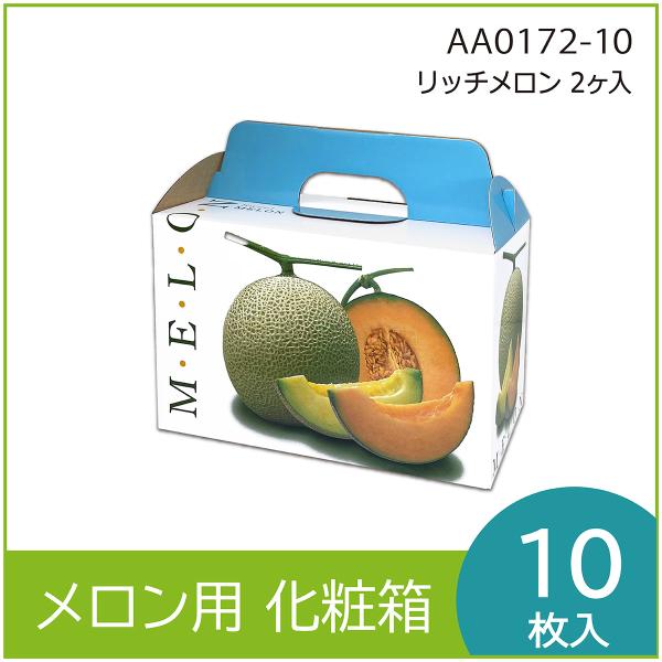メロンギフト用化粧箱　リッチメロン 2ヶ入 　手提箱　果物箱　プレゼントボックス　贈答ケース　パッケ...