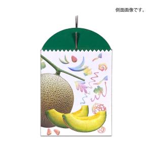 メロンギフト用化粧箱 コロコロメロン 2ヶ入 ...の詳細画像3