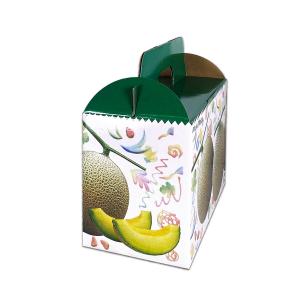 メロンギフト用化粧箱 コロコロメロン 2ヶ入 ...の詳細画像4