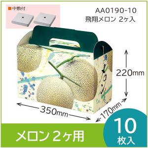 メロンギフト用化粧箱　飛翔メロン ２ケ入  　手提箱　果物箱　パッケージ　発送用　中敷付　10枚入 （AA0190）