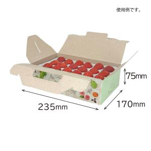 いちごギフト用化粧箱 フルーツランドパピィ 果...の詳細画像1