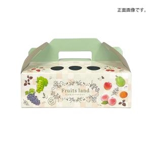 いちごギフト用化粧箱 フルーツランドパピィ 果...の詳細画像2