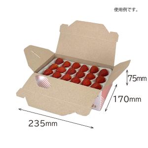 いちごギフト用化粧箱 フルーツランドマミィ 果...の詳細画像1