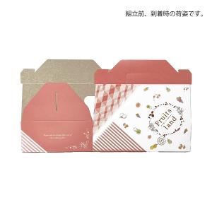 いちごギフト用化粧箱 フルーツランドマミィ 果...の詳細画像3