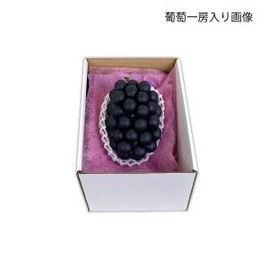 ブドウ・シャインマスカットギフト用化粧箱 おも...の詳細画像2