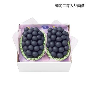 ブドウ・シャインマスカットギフト用化粧箱 おも...の詳細画像3