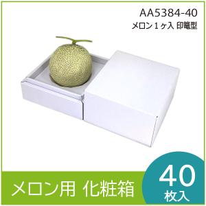 メロンギフト用化粧箱 メロン1個入イラスト 果物箱 プレゼントボックス