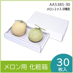 メロンギフト用化粧箱 飾 DXピーコンL 1ケ入 高級 果物箱