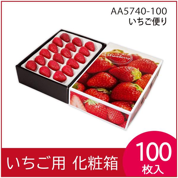 いちごギフト用化粧箱　いちご便り　果物箱　プレゼントボックス　贈答ケース　苺　包装資材　発送箱　パッ...