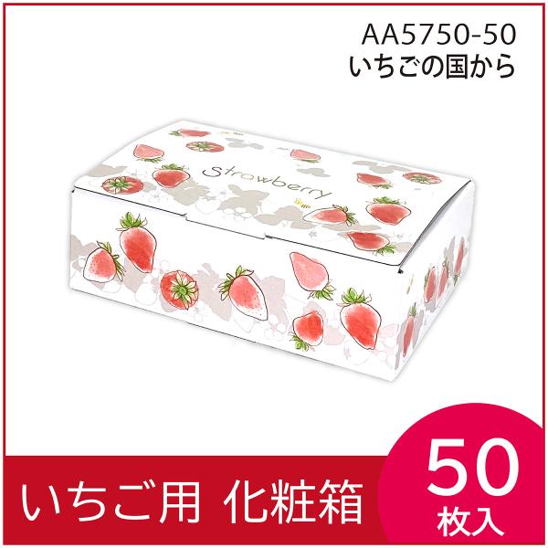 いちごギフト用化粧箱　いちごの国から　果物箱　プレゼントボックス　贈答ケース　苺　300g×2パック...