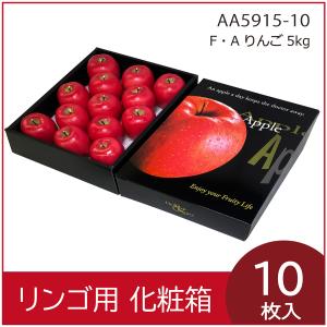 リンゴギフト用化粧箱 F・Aりんご5kg 果物箱 プレゼントボックス