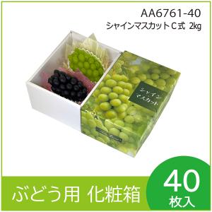 ヤマニパッケージ ぶどう箱 L-2306 ぶどうの里 手提 80サイズ(大) 330