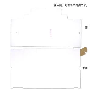 ブドウ・シャインマスカットギフト用化粧箱 アラ...の詳細画像5