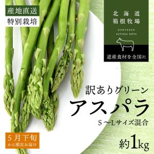 アスパラ 訳あり 北海道産 お試し  グリーン アスパラガス 早期予約 S-Lサイズ混合 1キロ バーベキュー 食材 BBQ｜hakonebokujo