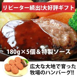 ハンバーグ お取り寄せ 絶品 国産 贈答品 冷凍 ハンバーグステーキ