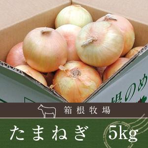 野菜 玉ねぎ 北海道産 特別栽培　たまねぎ M〜2L 5kg｜hakonebokujo