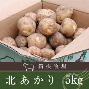 野菜 じゃがいも 北海道産 北あかり キタアカリ M〜2L 5kg｜hakonebokujo