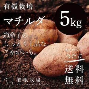 じゃがいも 有機栽培 北海道産 野菜 詰め合わせ マチルダ M〜2L 5kg セット｜hakonebokujo