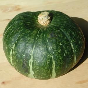 野菜 かぼちゃ 北海道産 　栗ほまれ 2玉入 2.8kg 南瓜　有機栽培｜hakonebokujo