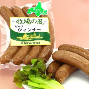 ウインナーソーセージ 行者ニンニク ソーセージ 120g ビーフ100% 北海道産 無添加 無着色 冷凍 焼肉 バーベキュー｜hakonebokujo