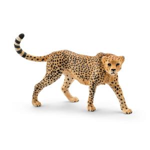 CollectA，Schleich，Papo，favorite 動物フィギュア コレクタ／COLLECTA 88852 サイ 動物フィギュア : 動物フィギュアの