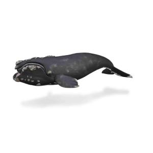 Collecta 88740 セミクジラ  動物フィギュア