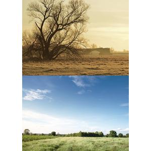 ジオラマシートe フィールド01 背景シート 2パターン 1枚