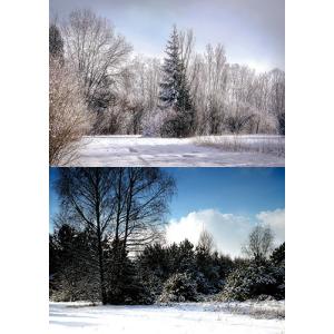 ジオラマシートe ウィンター01 背景シート 2パターン 1枚