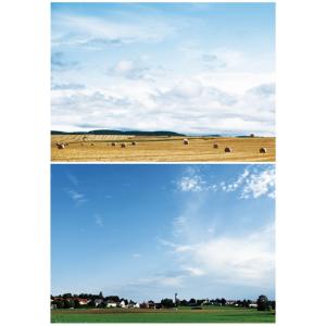 ジオラマシートeLフィールド01 背景シート 2パターン 1枚 594x420mm