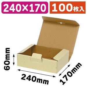 宅配用ギフトボックス 100枚入（EE-193） : 箱の店 - 通販 - Yahoo