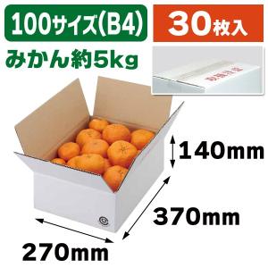 みかんの箱）イラスト みかん3kg/80枚入（L-2442） : 箱の店 - 通販