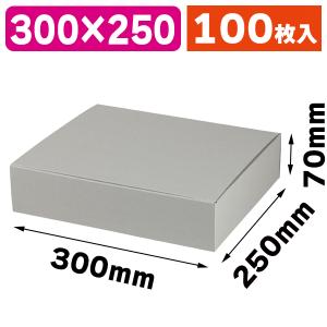 スタイリッシュBOX4 グレー/100枚入（EE-704） : 箱の店 - 通販
