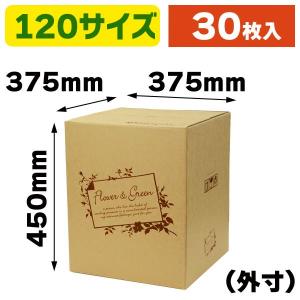 （花の宅配箱）フラワー&グリーン 120サイズL/30枚入（F-503）｜hakonomise