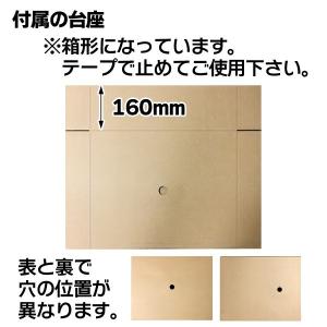 (花の宅配箱)フラワー&グリーン 胡蝶...の詳細画像1