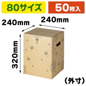 （花の宅配箱）ワンタッチ宅配箱80 ジェルメ/50枚入（F-550）｜hakonomise