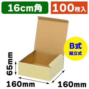 小型段ボール箱）ミニダンボール MD-S/10枚入（K05-4901755725032