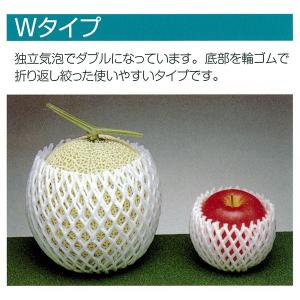 フルーツキャップ W-160 大袋/600枚入...の詳細画像1