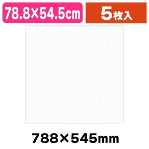 和紙 鳥の子 エンボス NO.1 シロ 5枚入/5枚入（K05-4901755290028）｜hakonomise