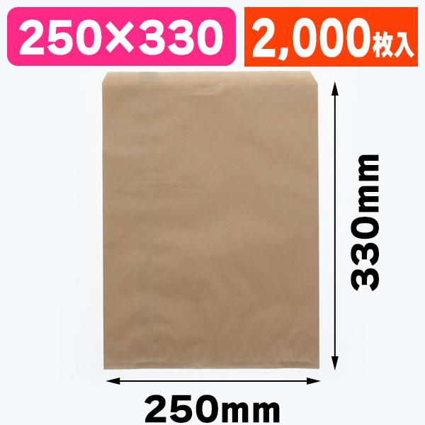（平袋）柄小袋 R-10 未晒無地/2000枚入（K05-4901755368413-2S）
