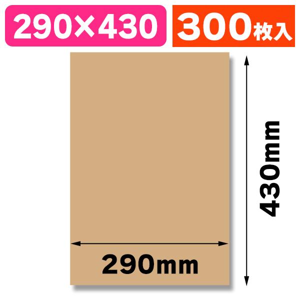 （平袋）クラフト平袋 S 未晒無地/300枚入（K05-4901755375534-3H）