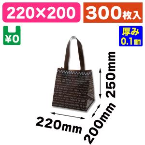 （持ち手付ポリ袋）HDポリチャーム WSS チェッカー BR 表記入/300枚入（K05-4901755463385-3H）｜hakonomise