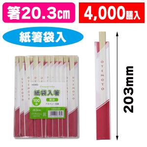 割り箸）アスペン元禄箸 袋入 T-03 若紫 100膳/100本入（K05