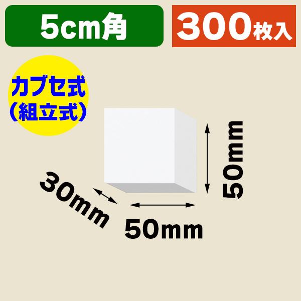 （ギフトボックス）DX白無地箱 A-1 アクセサリー用 S/300枚入（K05-4901755700...